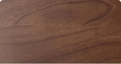ELM
