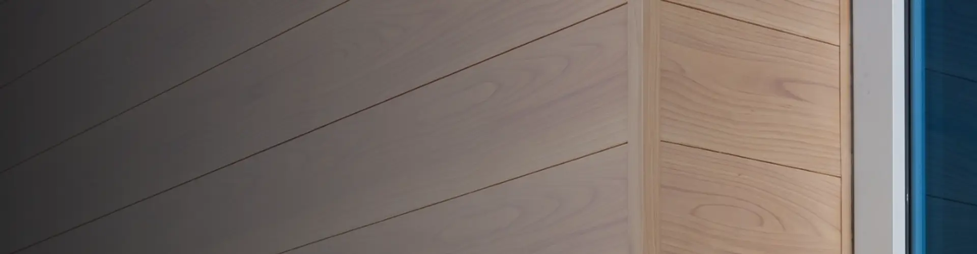 finsihng-banner